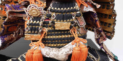 Japanese Samurai Warrior
